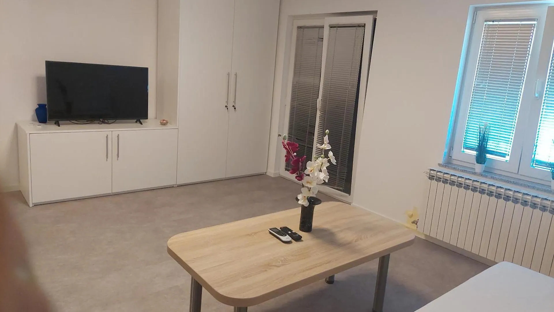 Apartment Apartman Vasilic Baska